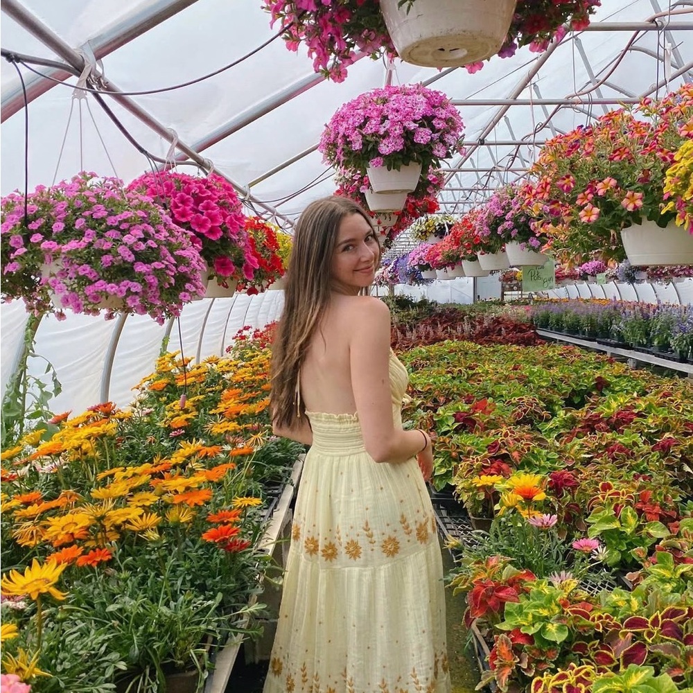 Free people dress